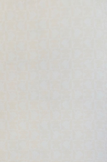 کاغذ دیواری قابل شستشو عرض 50 متفرقه آلبوم ترژر هانت کد 03228